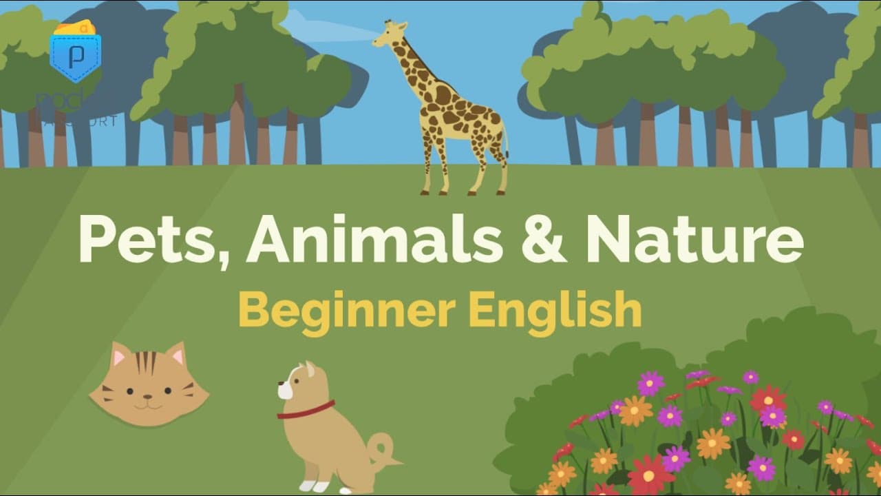 Pets & Animals  | Beginner English