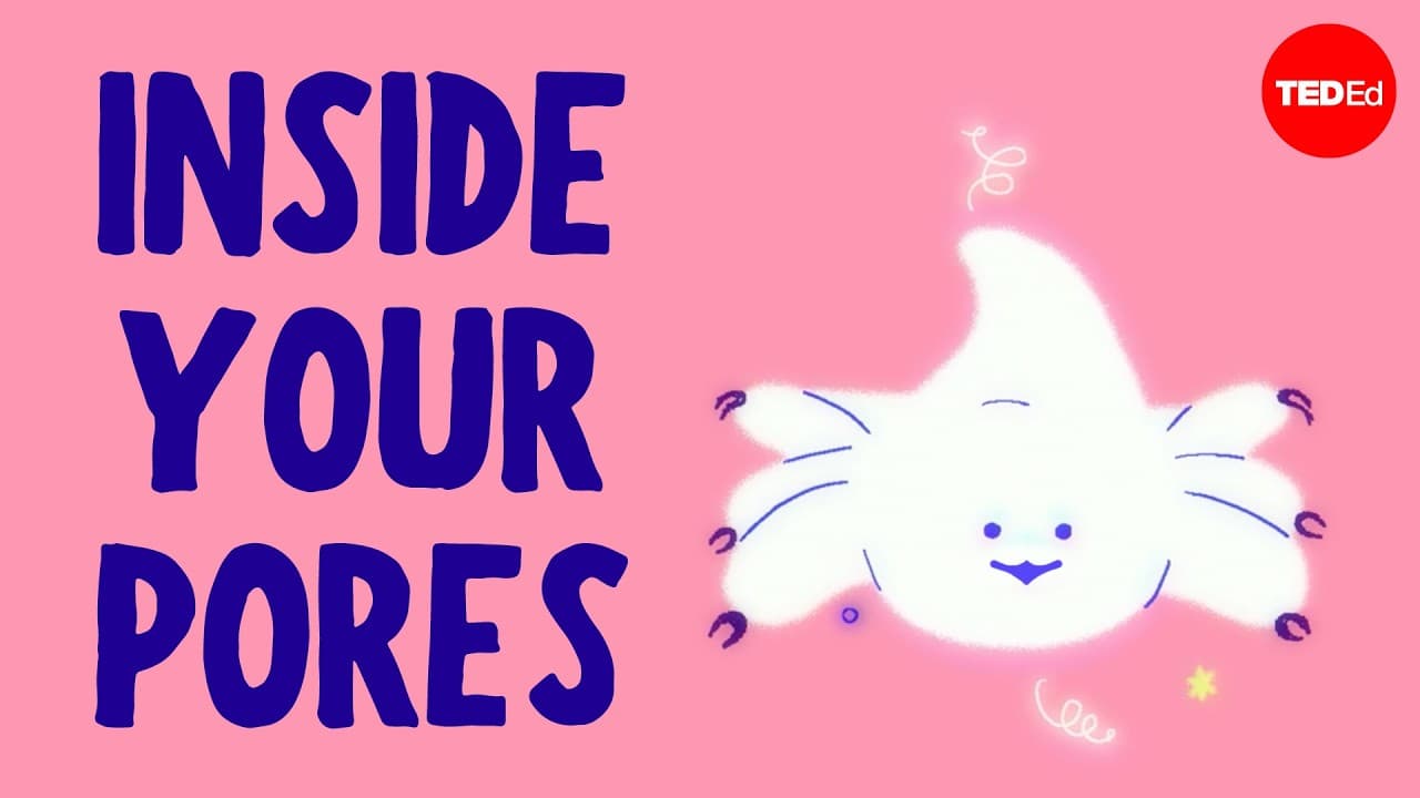 You might be surprised by what you'd find in your pores - M. Alejandra Perotti