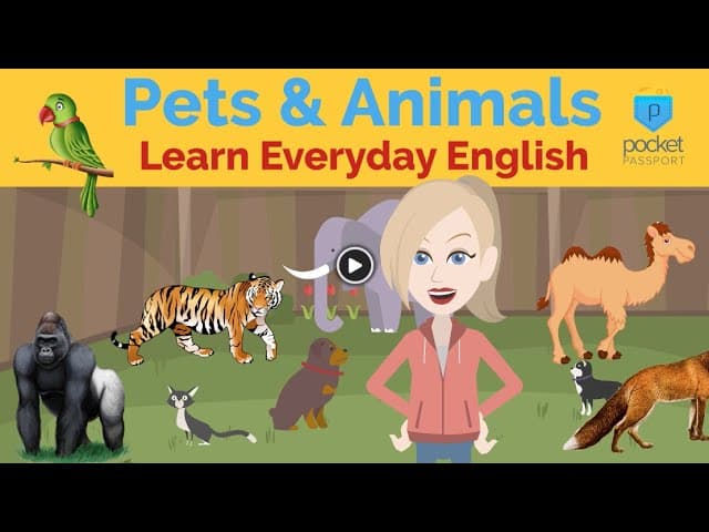 Pets & Animals | Everyday Beginner English