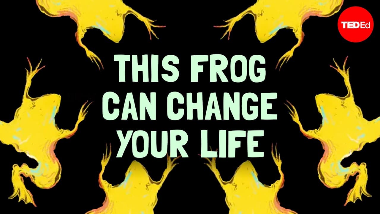 Why were scientists so obsessed with these frogs? - Carly Anne York