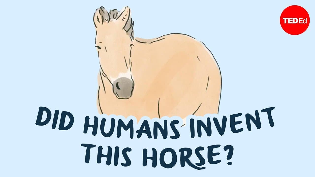The return of Mongolia's "wild" horses - Nigel Rothfels