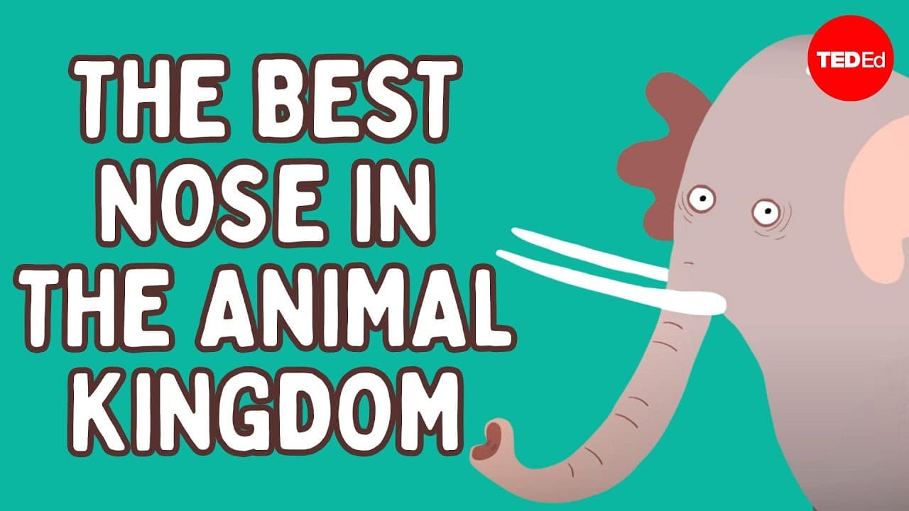 The best nose in the animal kingdom - Chase LaDue & Bruce A. Schulte