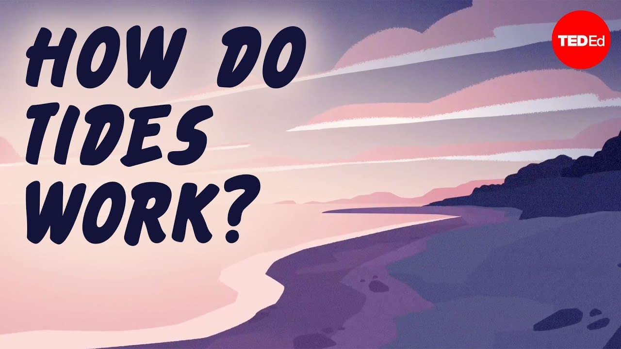 Why are there two tides a day? - Elise Cutts
